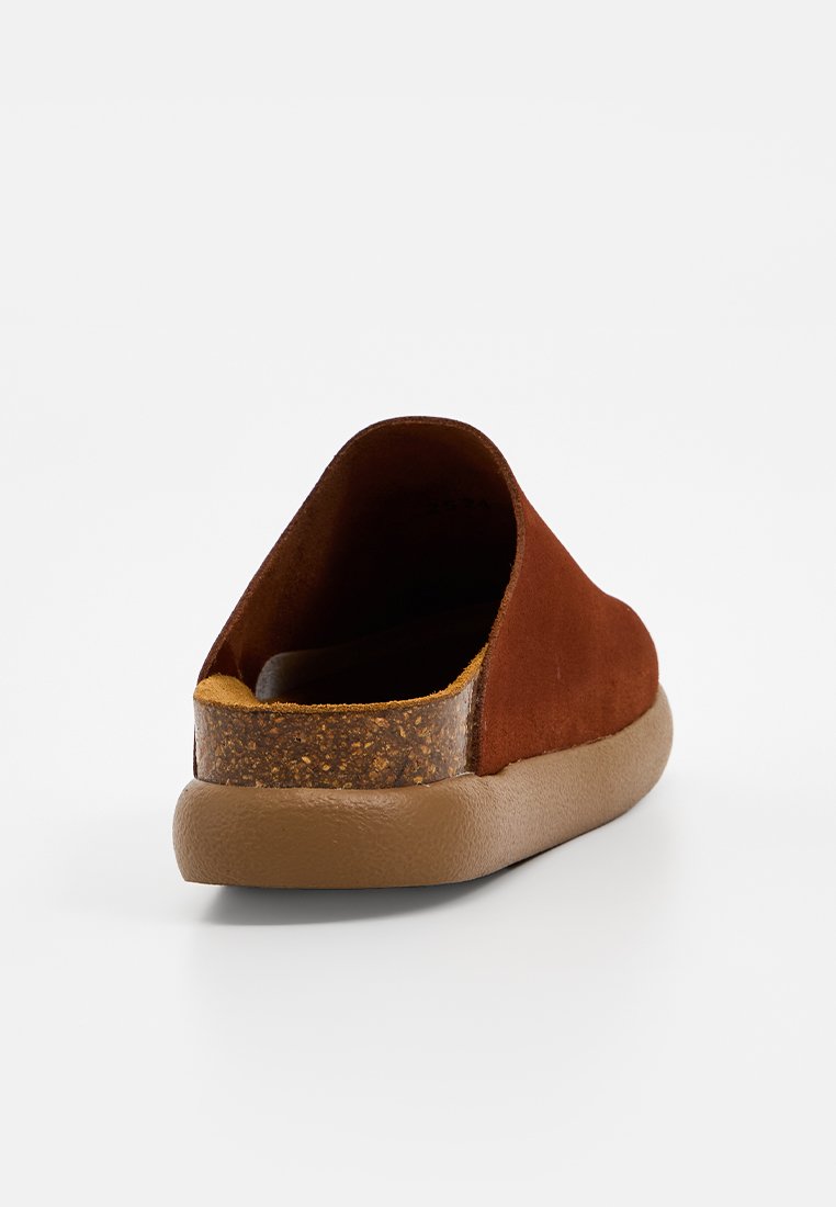 Scholl IVY 2.0