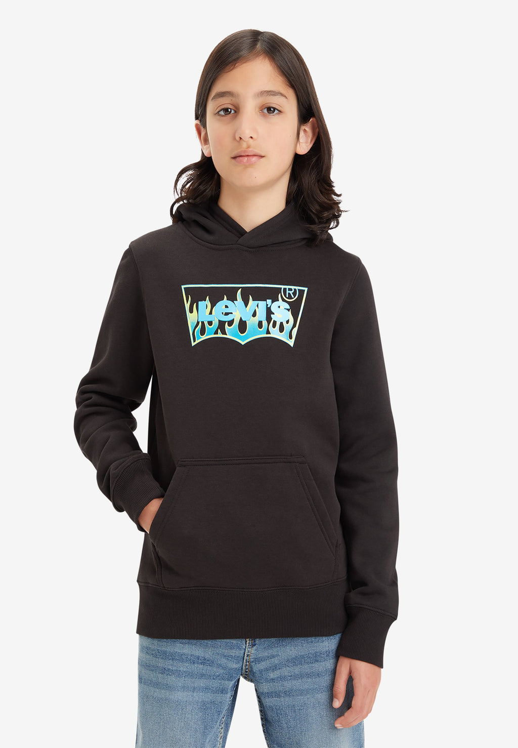 Levi's® BATWING FILL HOODIE