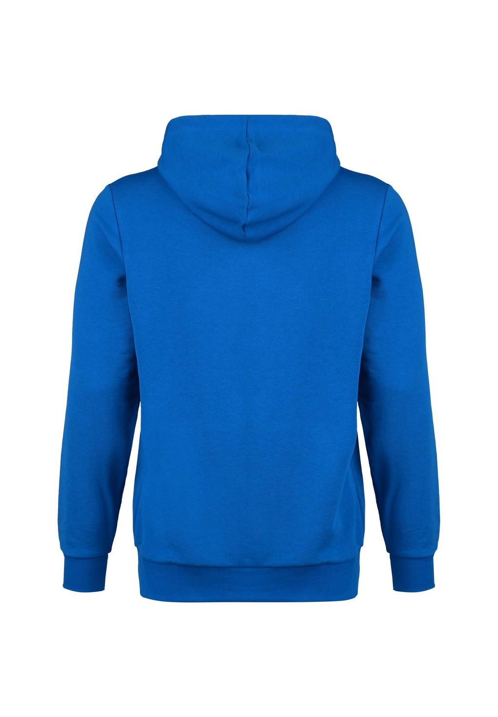 Puma TEAMGOAL 23 CASUALS HOODIE HERREN