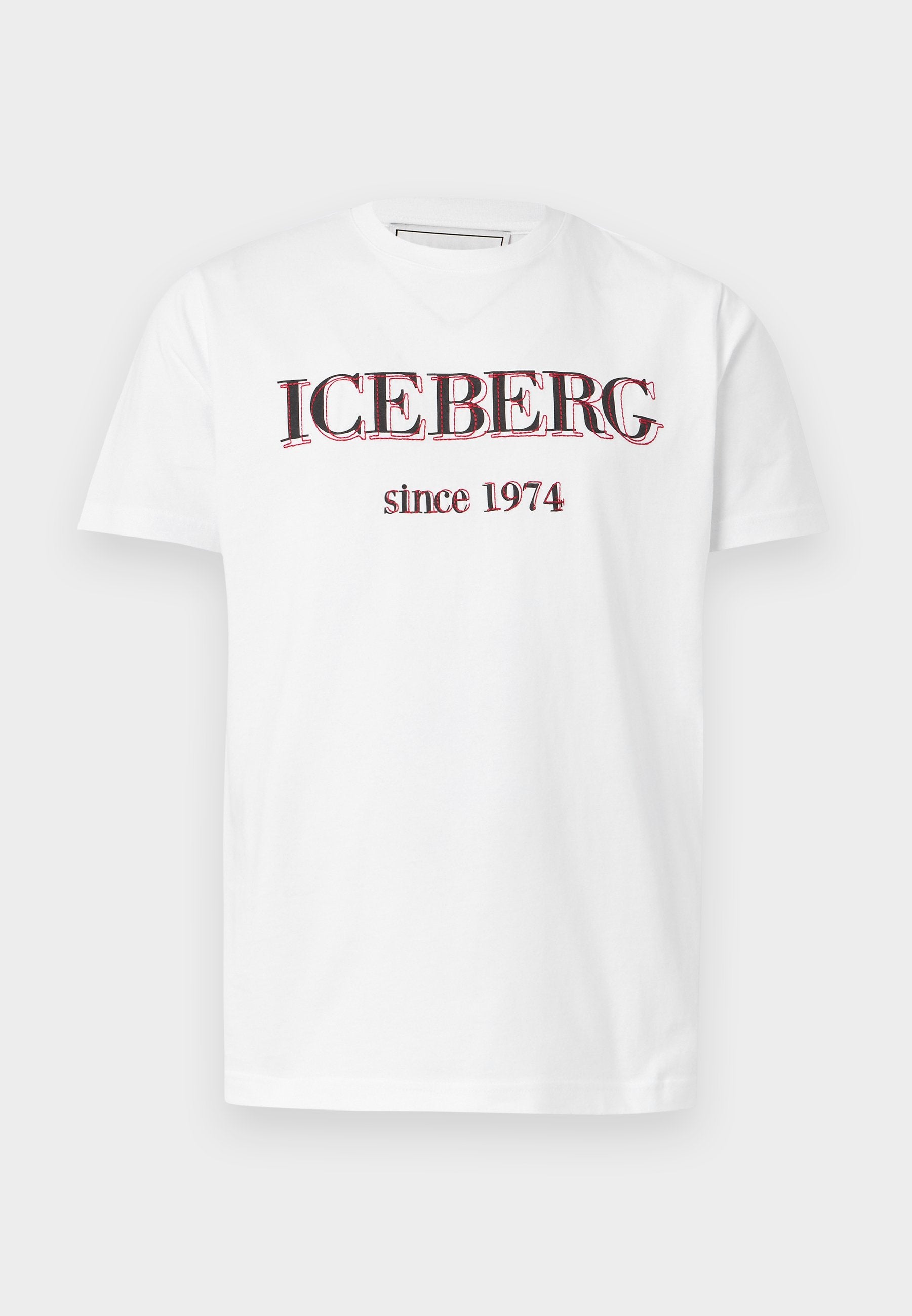 Iceberg