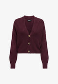 ONLY ONLCAROL NICE CARDIGAN - Cardigan - port royale