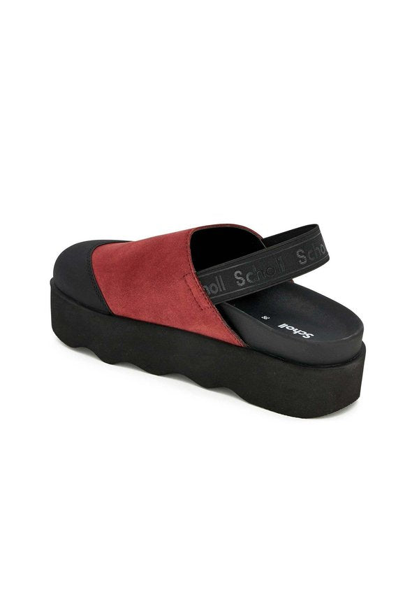 Scholl ABBY