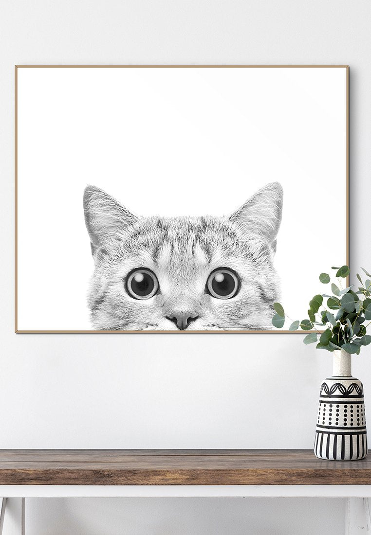 Orange Wallz CATS EYES