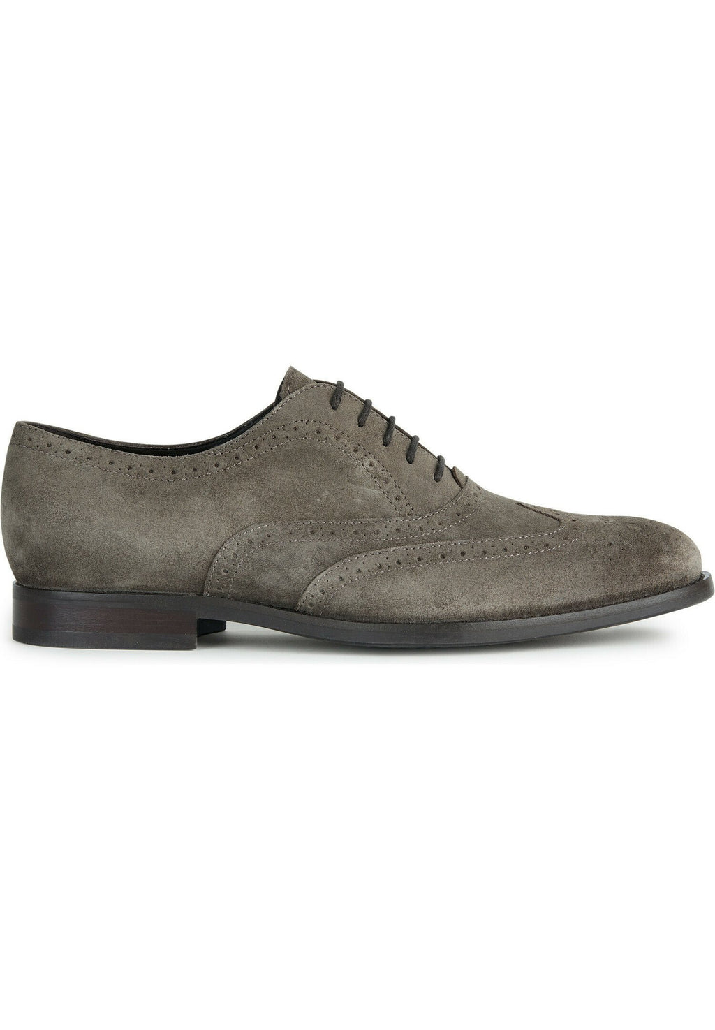 Geox U HAMPSTEAD