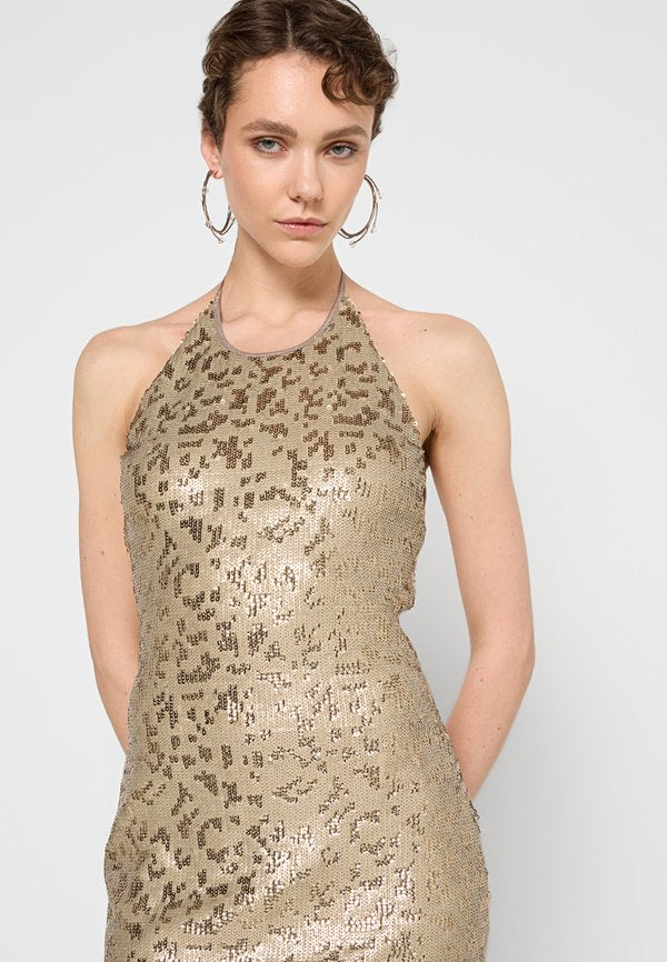 Just Cavalli