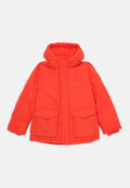 HOODED Media 1