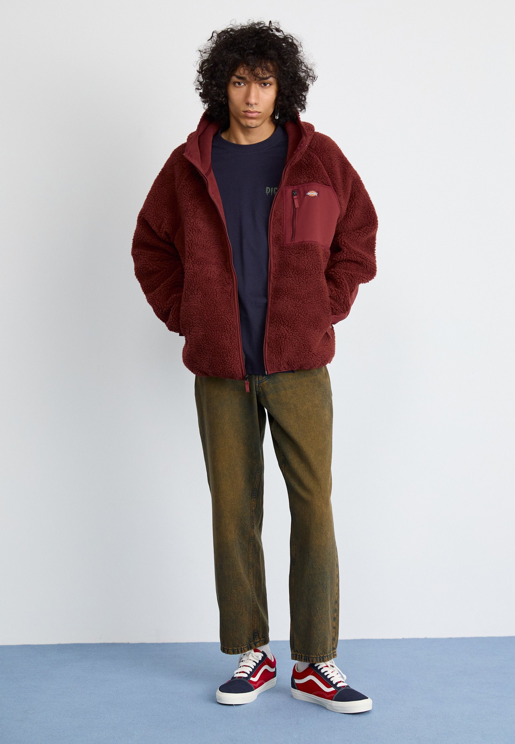 Dickies CENTRAL HOODED