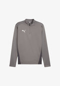 Puma FUSSBALL-TEAMS-GOAL TRAINING 1/4 ZIP - Long sleeved top - grauweiss