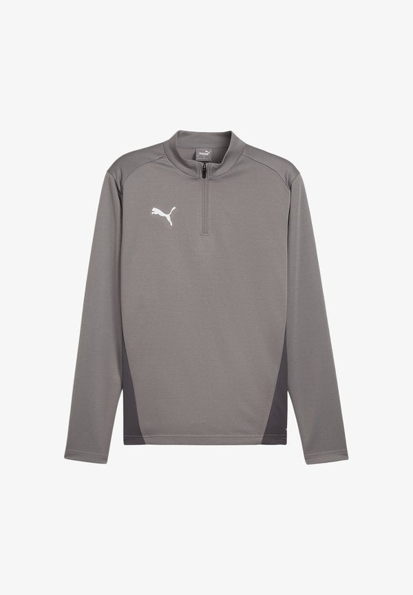 Puma FUSSBALL-TEAMS-GOAL TRAINING 1/4 ZIP - Long sleeved top - grauweiss