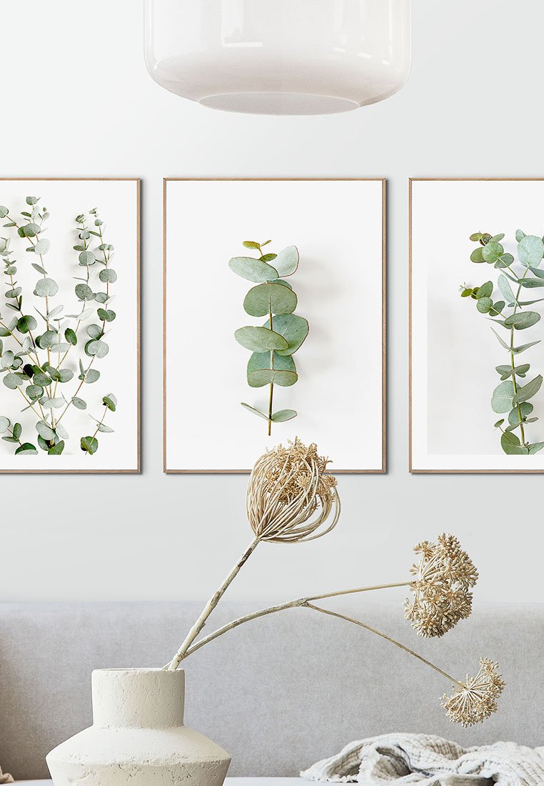 Orange Wallz EUCALYPTUS TRIO 3 PACK