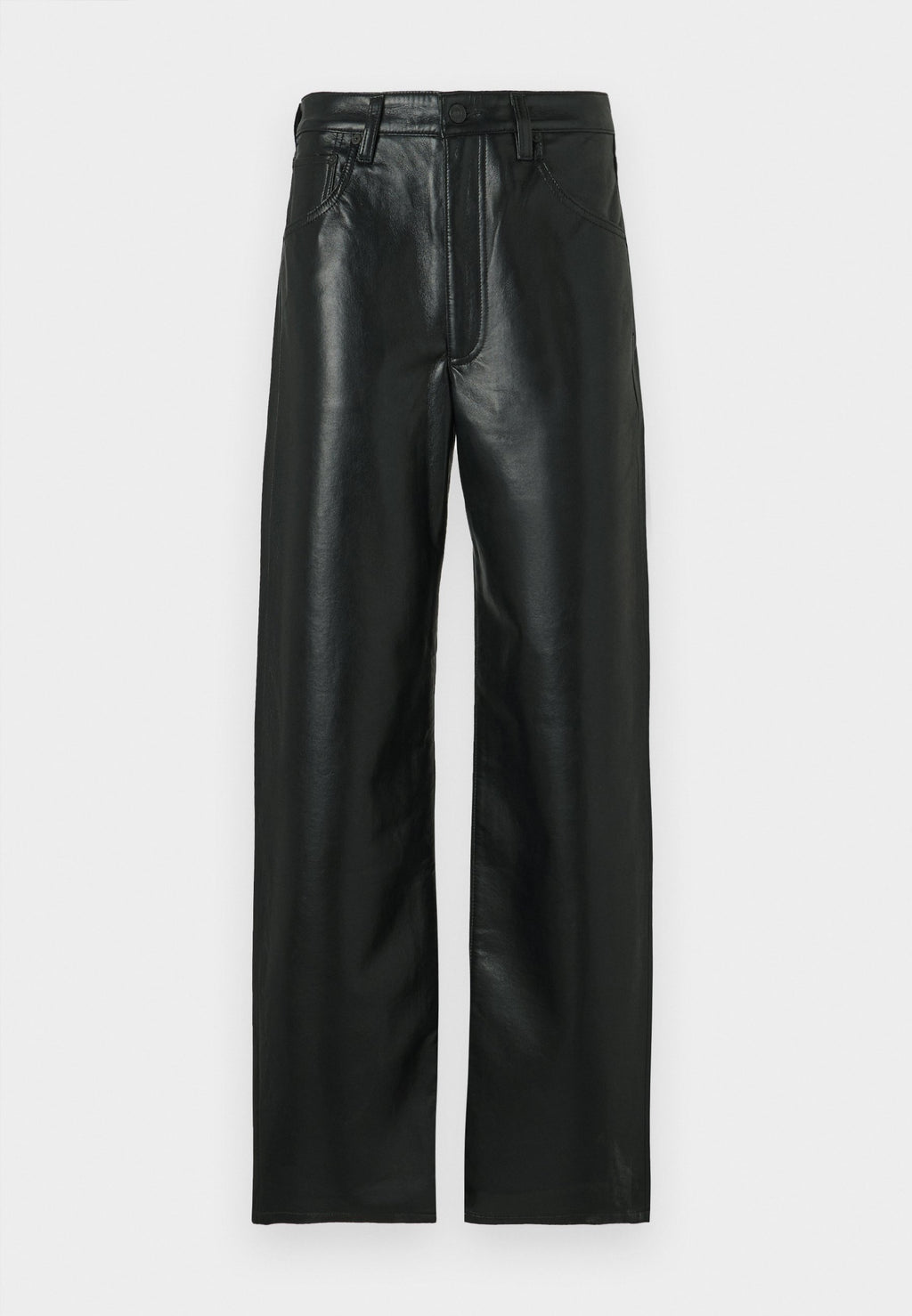 Citizens of Humanity BAGGY