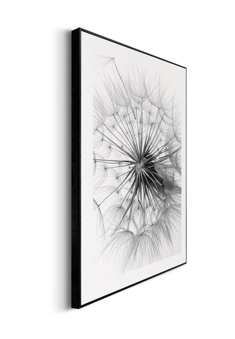 Orange Wallz DANDELION SET