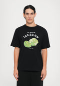 Iceberg
