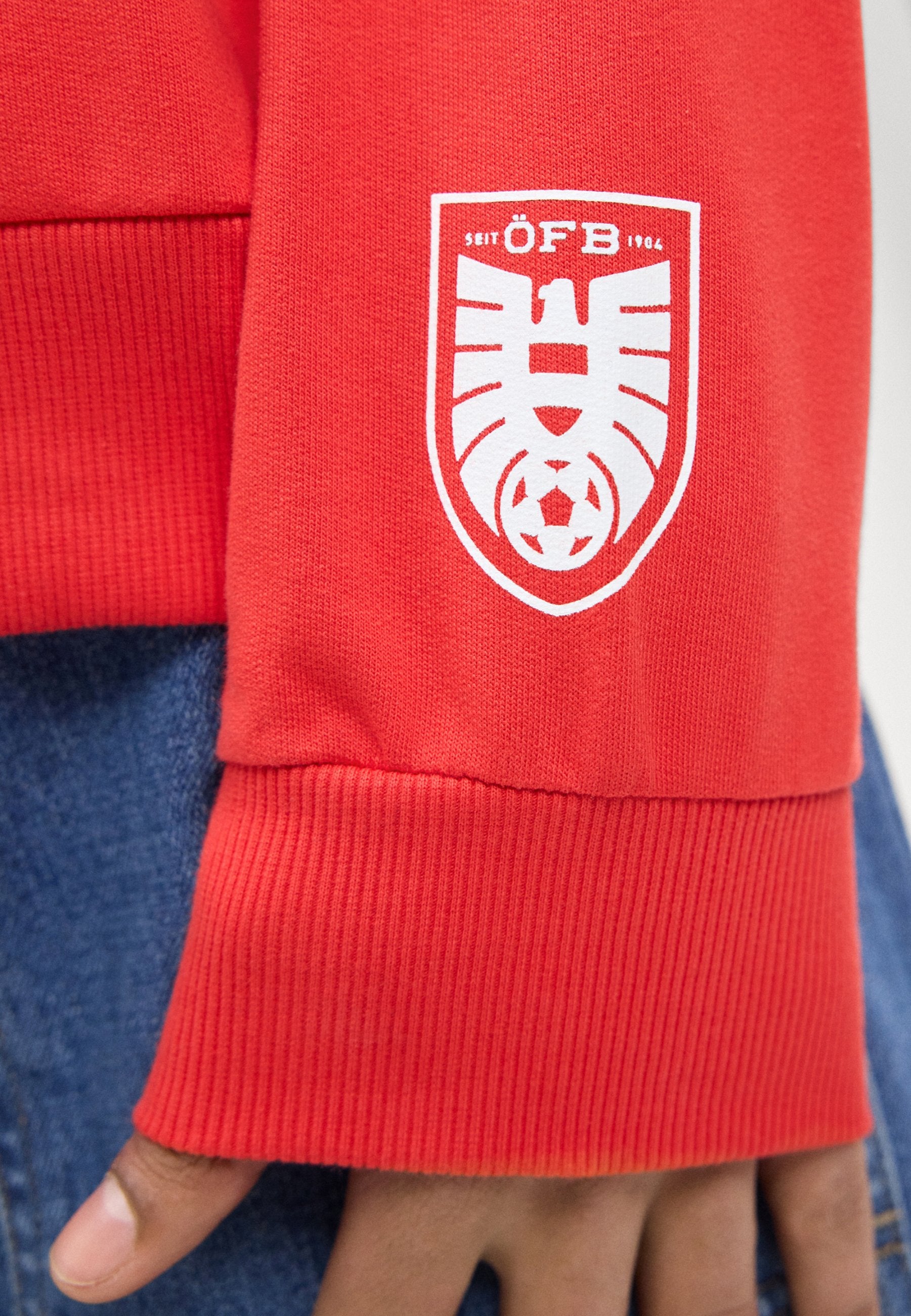 Puma AUSTRIA ÖFB FTBLCULTURE RELAXED HOODIE