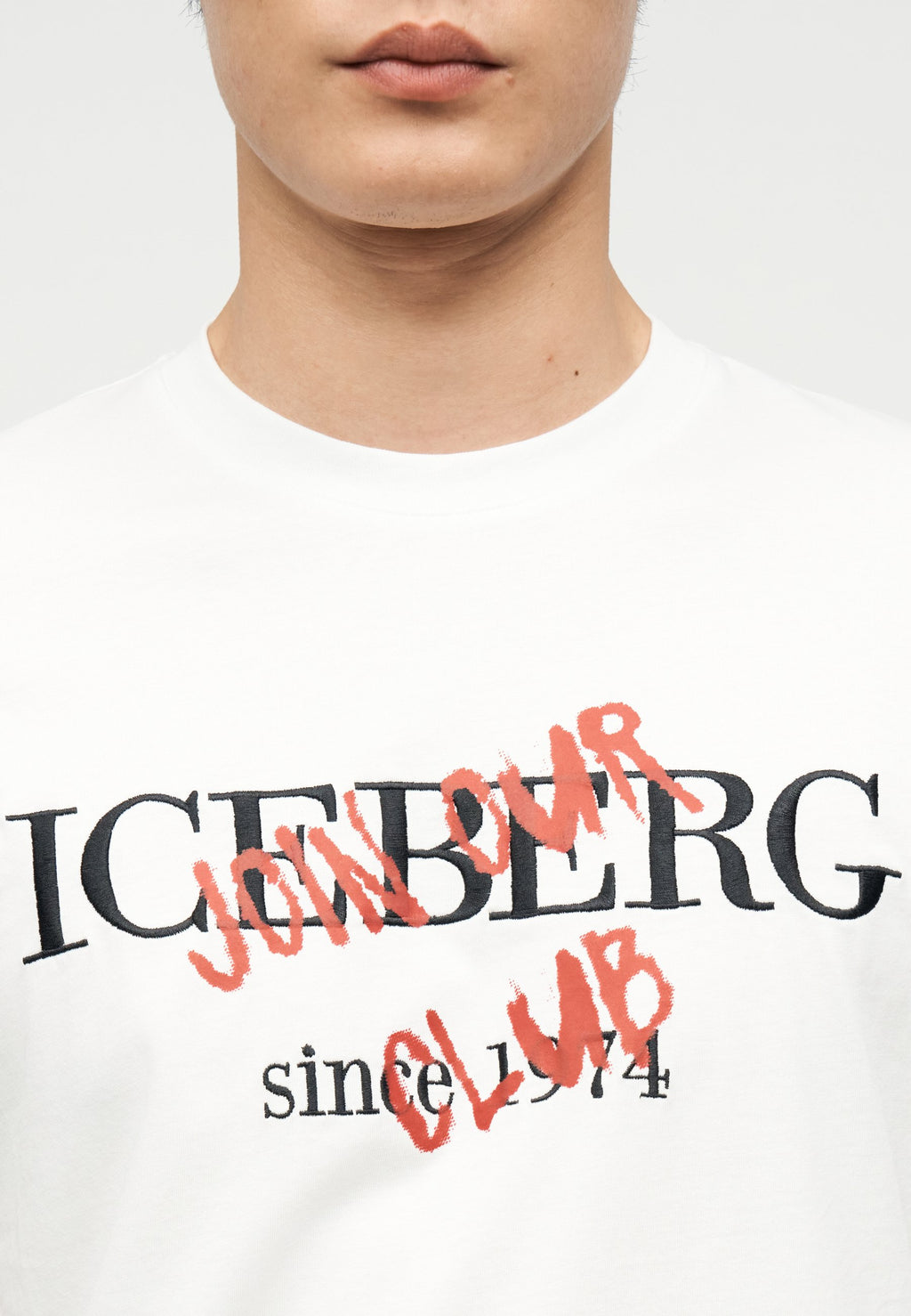 Iceberg