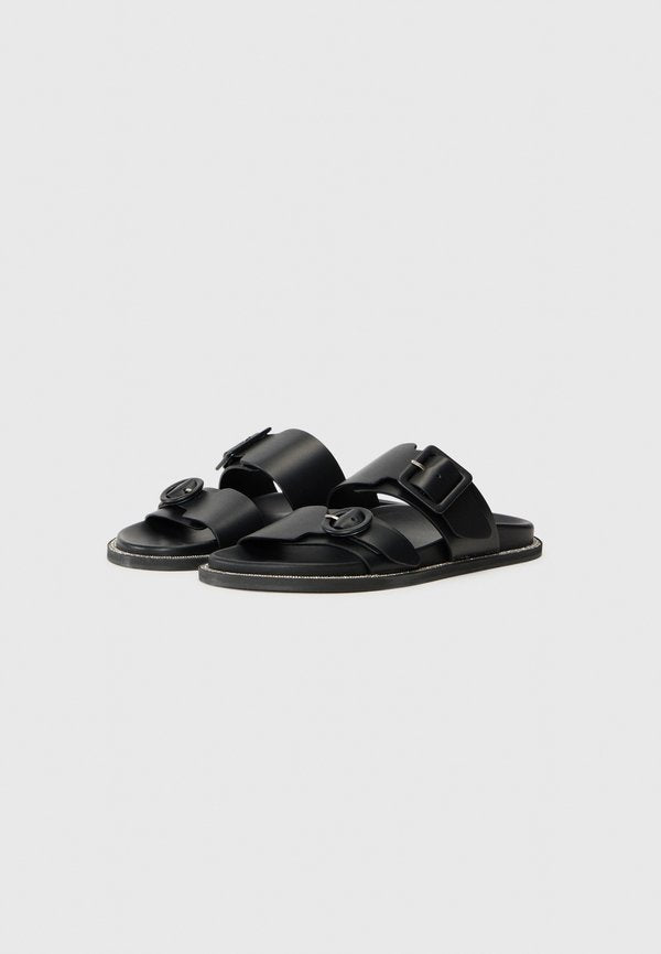 Pollini