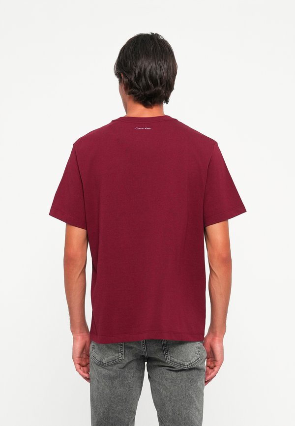 Calvin Klein Jeans 20S GRAPHIC TEE