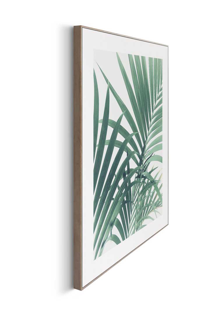 Orange Wallz PALM TREE LEAF