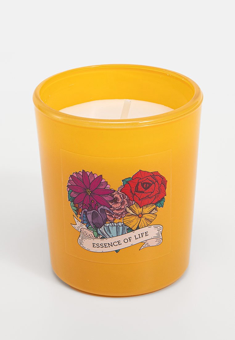 Candle-Lite KAHLO 3 PACK
