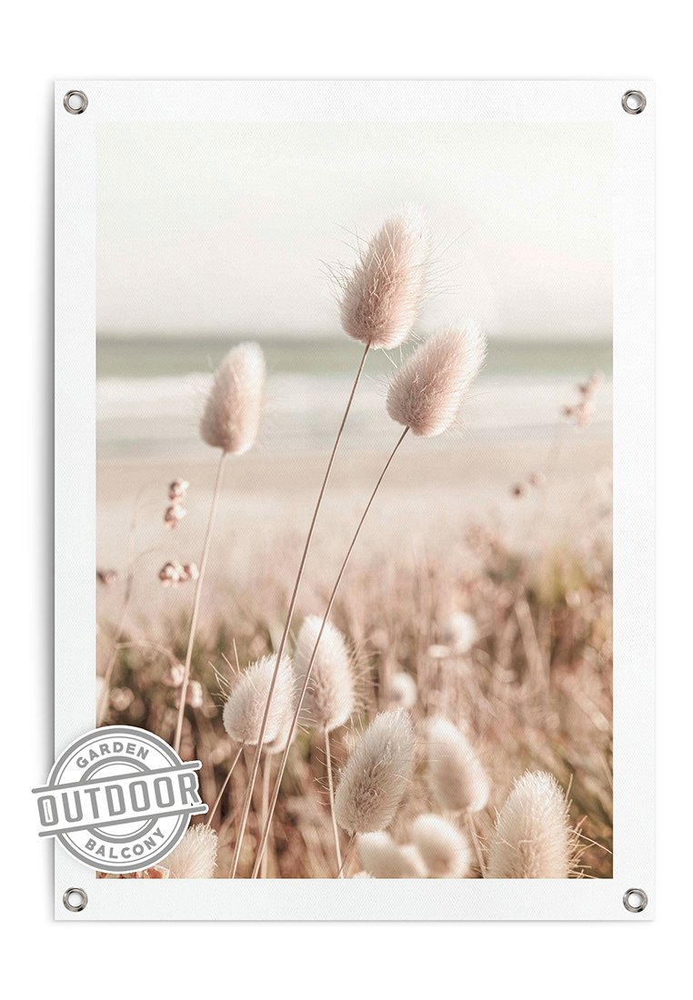 Orange Wallz SEA GRASSES
