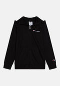 ICONS FULL ZIP HOODIE WITH SMALL LOGO Media 1