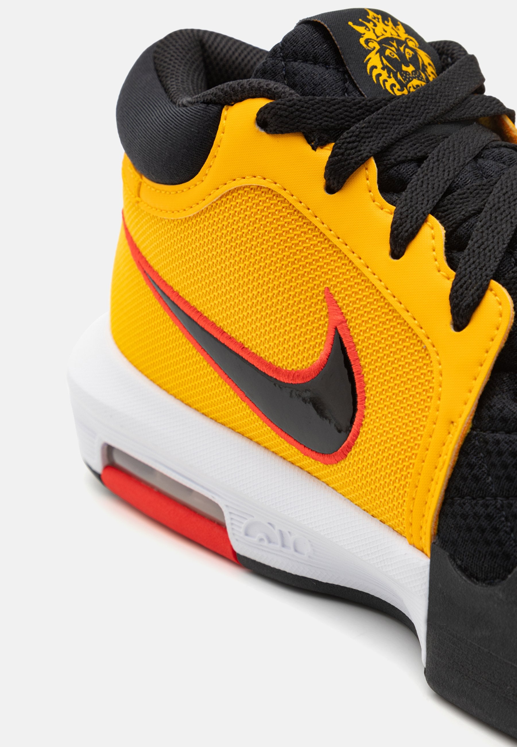 Nike Performance LEBRON WITNESS VIII