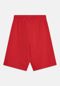 Champion ICONS BERMUDA WITH LARGE LOGO