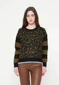 Scotch & Soda
