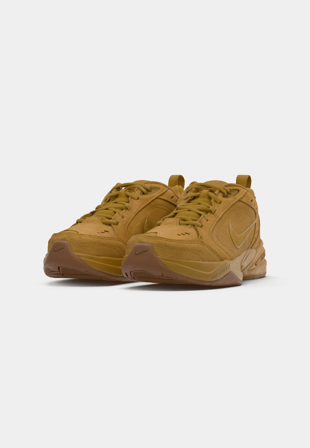 Nike Performance AIR MONARCH SE