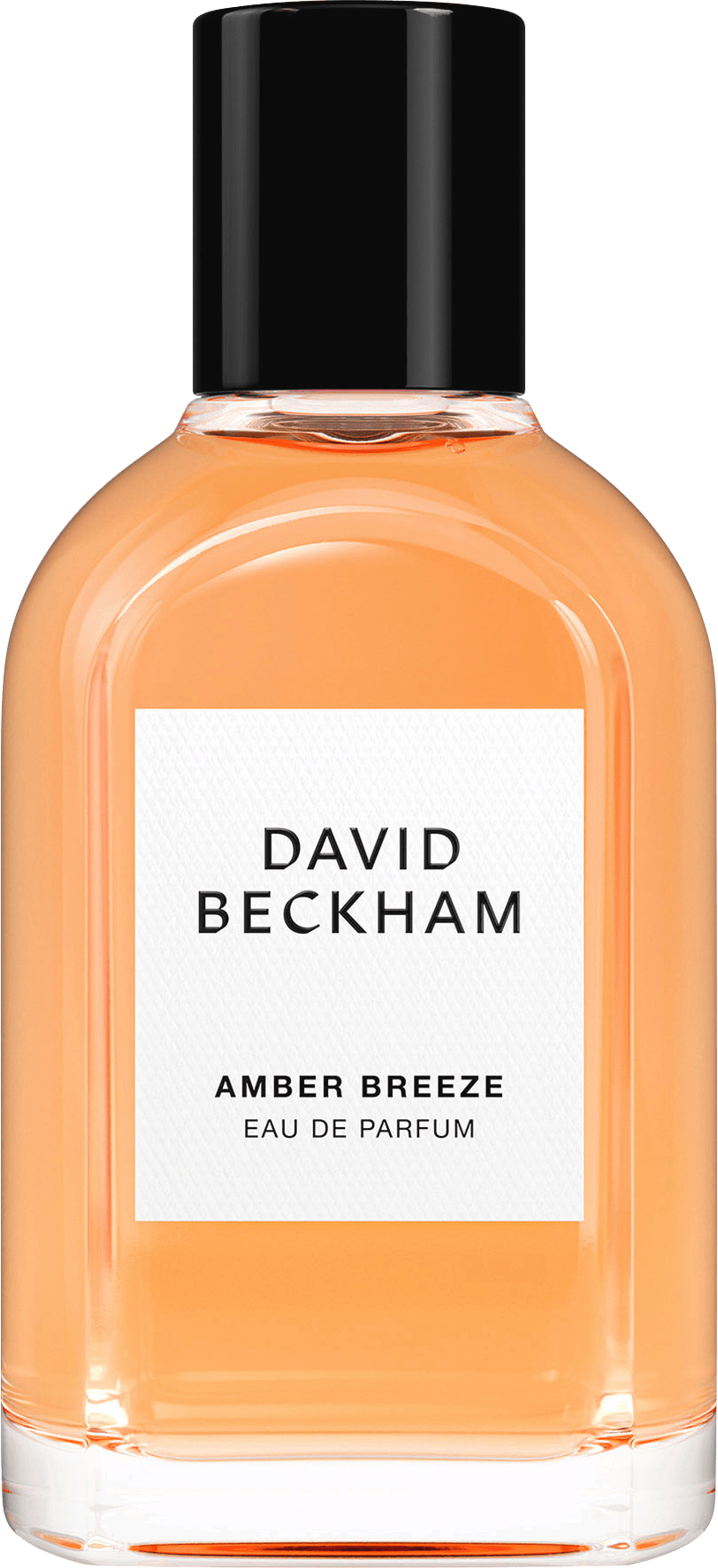 DAVID BECKHAM None Media 4