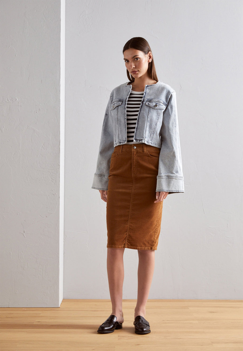 SKIRT Media 2