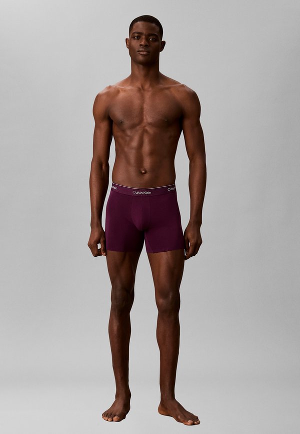 Calvin Klein Underwear 3 PACK - Boxer briefs - black harbor mist dark purple