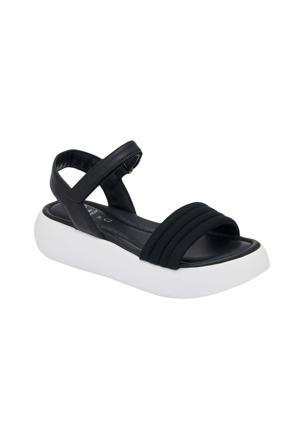 Scholl BOCA