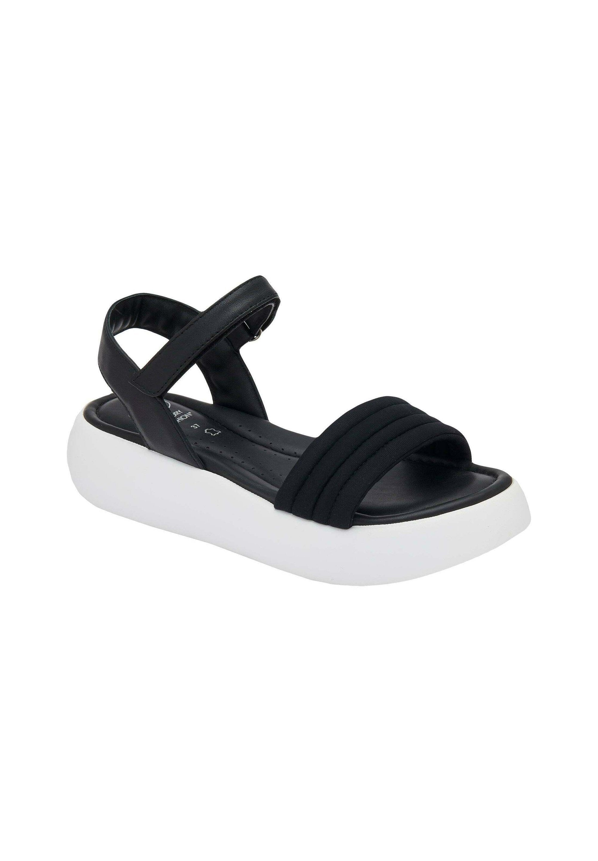 Scholl BOCA