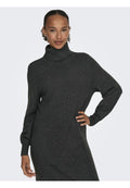 ONLSASHA ROLLNECK DRESS Media 1