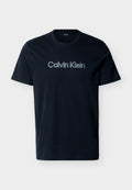 Calvin Klein SPORTSWEAR GRAPHIC TEE