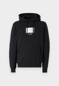 ITHACA FLAG HOODIE Media 1