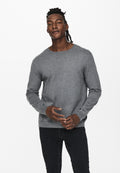 Only & Sons ONSWYLER LIFE CREW