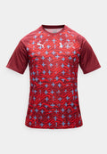 Puma SWITZERLAND SFV WARM UP - Football jersey - red/white