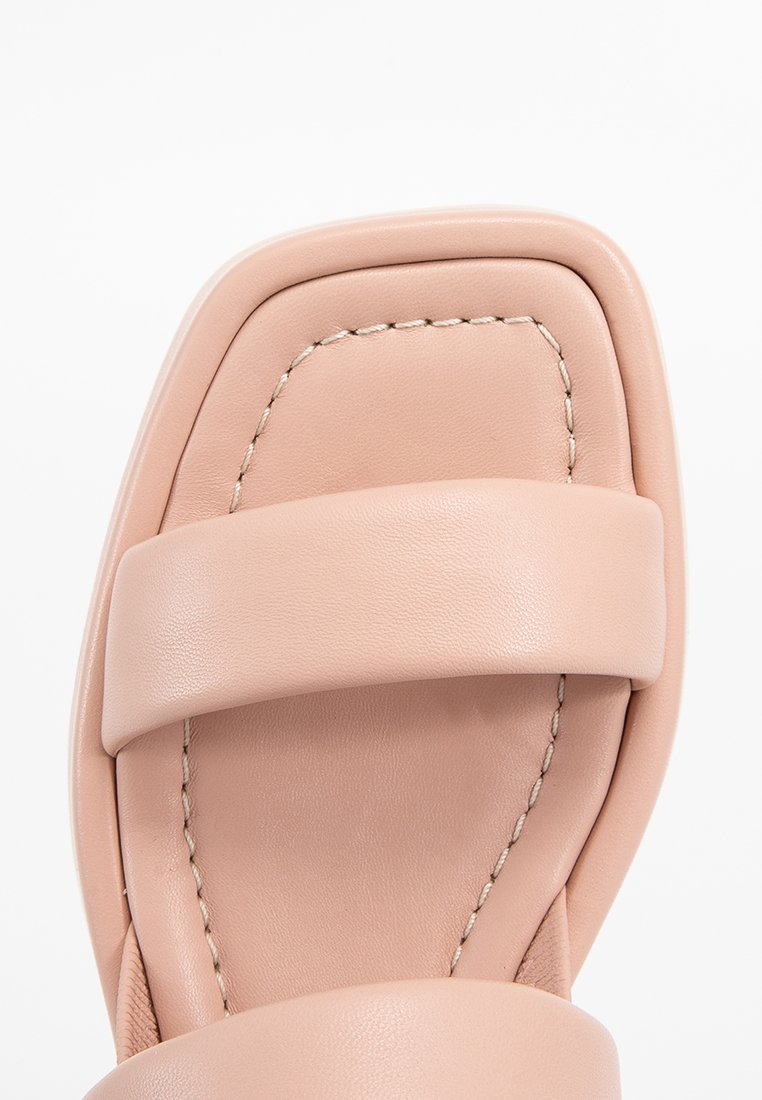 Pollini