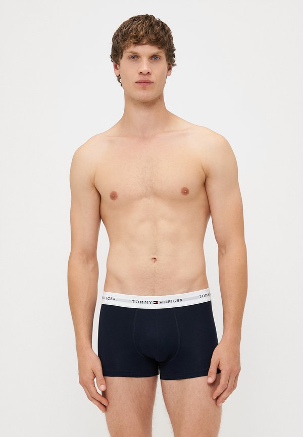 Tommy Hilfiger SIGNATURE TRUNK 5 PACK - Trunks - des sky/antique silver/white