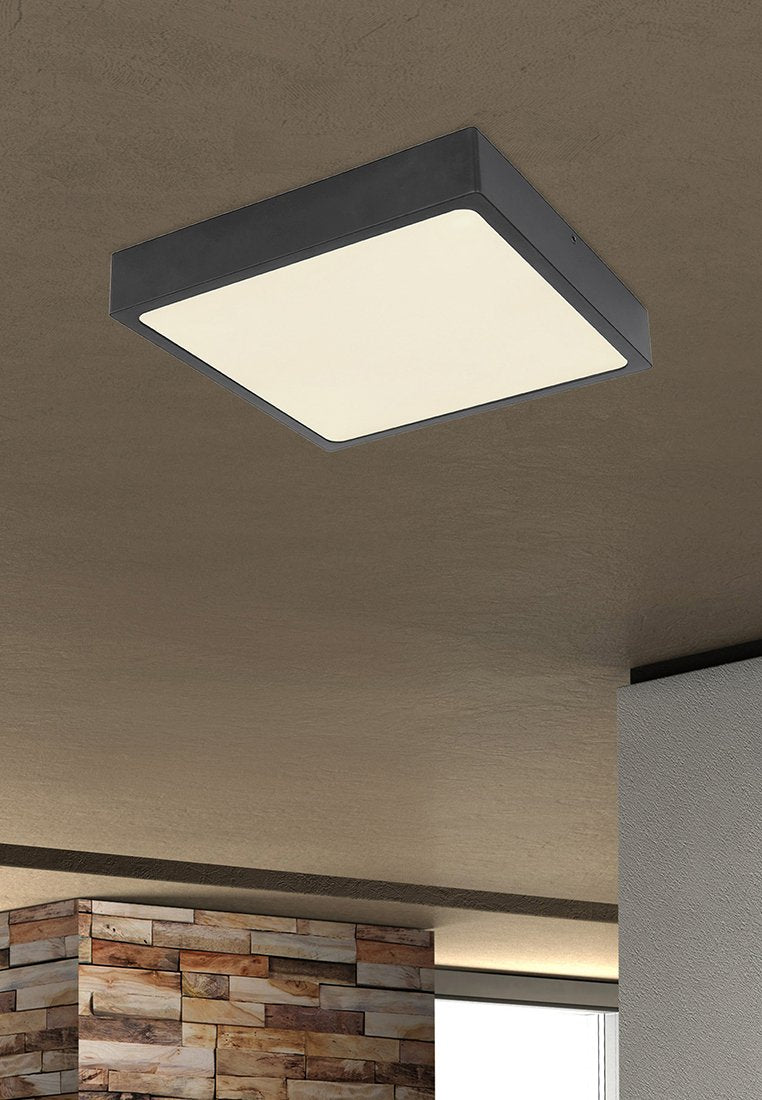 GLOBO Lighting