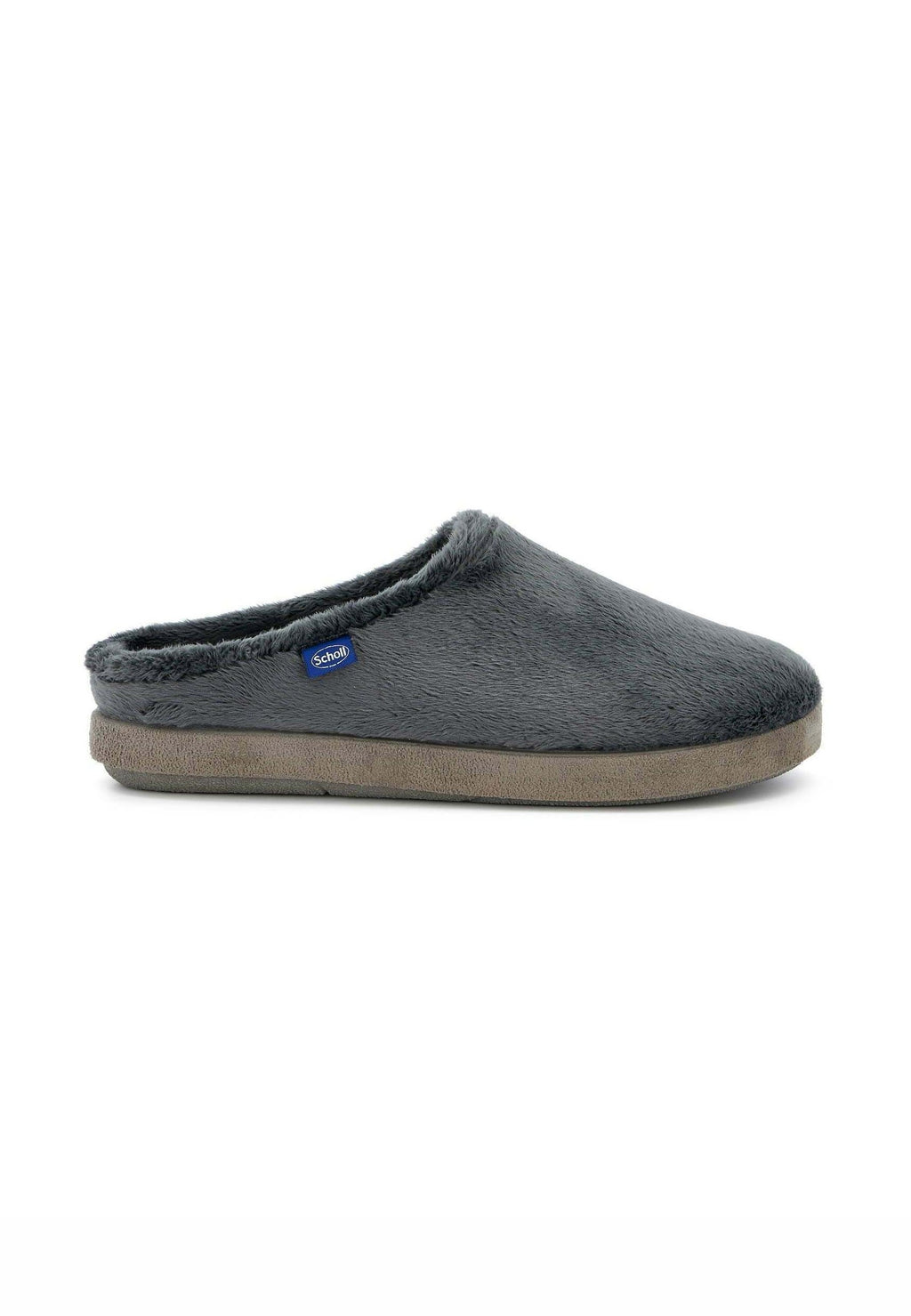 Scholl HOLLY