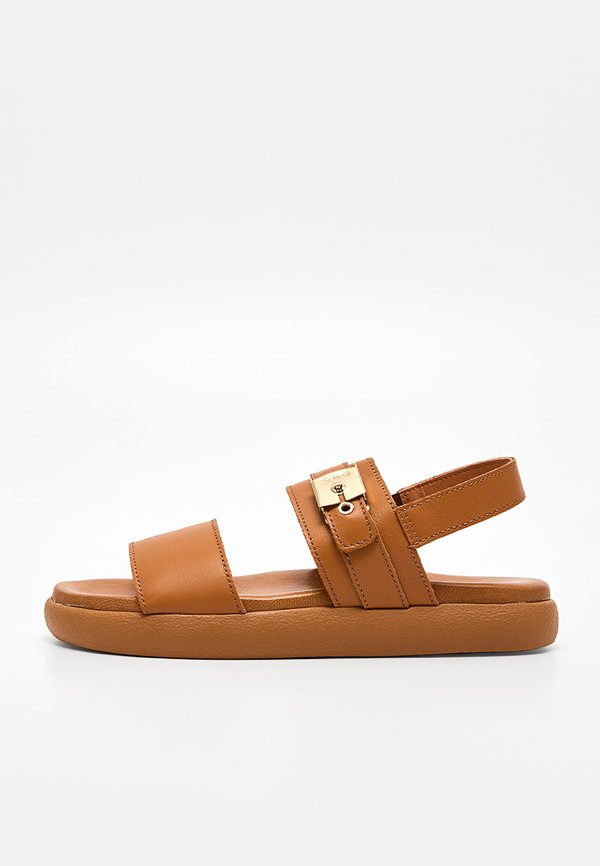 Scholl TAYLOR
