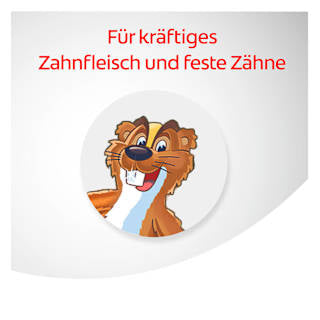 Zahnpasta Kräuter Dentagard
