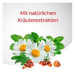 Zahnpasta Kräuter Dentagard