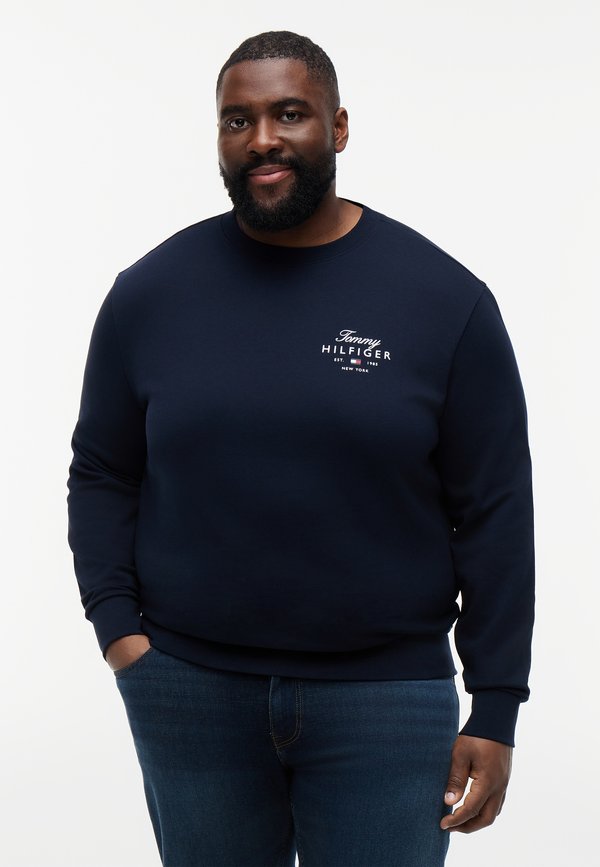 Tommy Hilfiger BRAND LOVE - Sweatshirt - desert sky