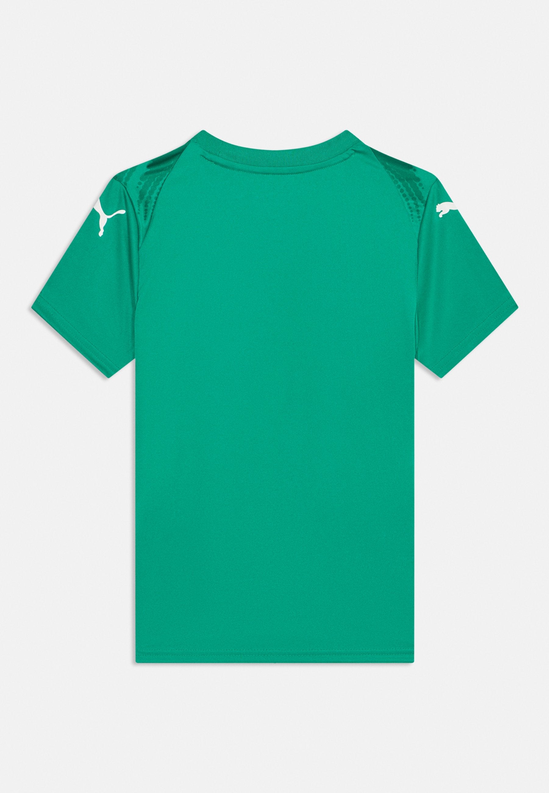 Puma TEAMULTIMATE
