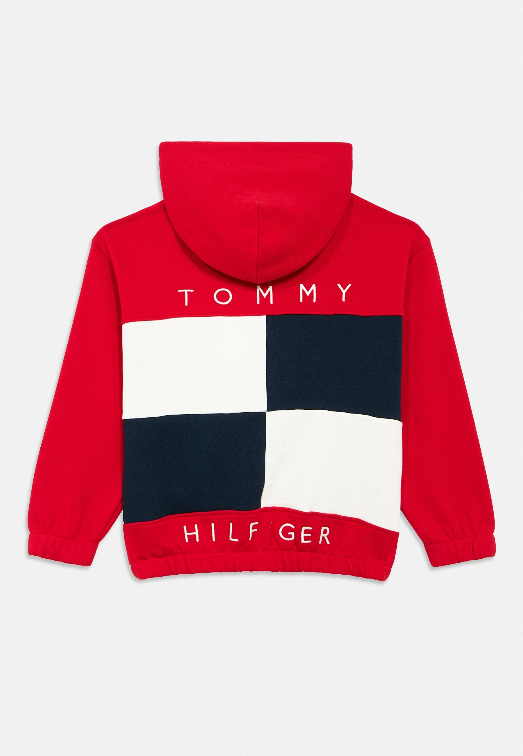 COLOUR-BLOCKED BACK LOGO ZIP-THRU HOODY Media 4