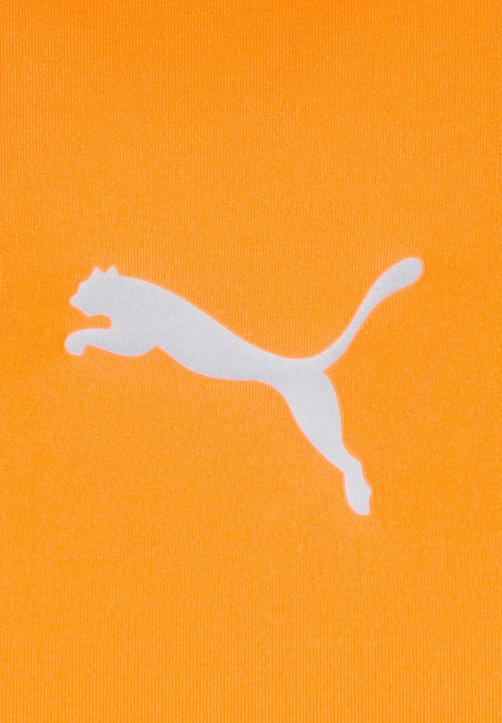Puma LIGA LONGSLEEVE